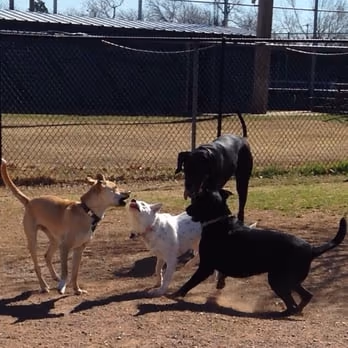 OKC PawPark photo 1